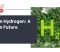 Green Hydrogen_ A Clean Future