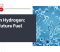 Green Hydrogen_ The Future Fuel Green Hydrogen_ The Future Fuel